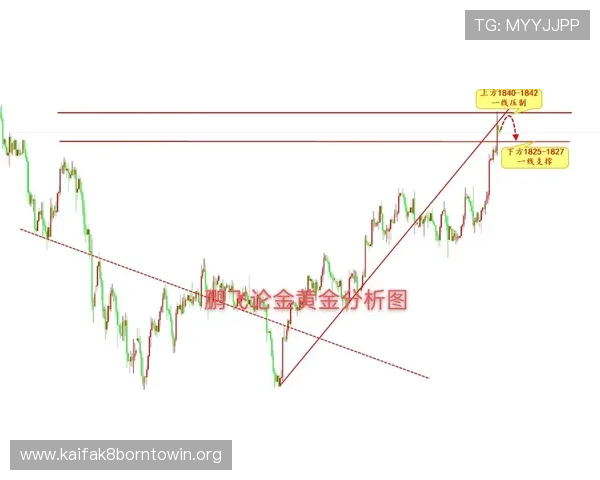 凯发中国官网详细解析注册流程与账号安全措施，保障玩家个人信息安全